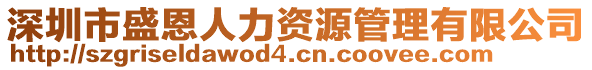 深圳市盛恩人力資源管理有限公司