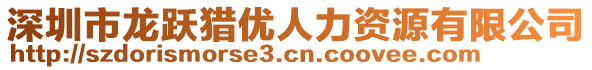 深圳市龍躍獵優(yōu)人力資源有限公司