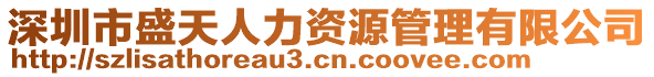 深圳市盛天人力資源管理有限公司