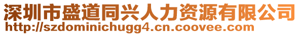 深圳市盛道同興人力資源有限公司