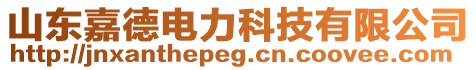 山東嘉德電力科技有限公司