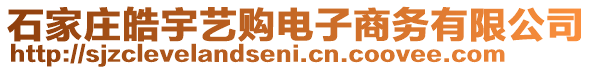 石家莊皓宇藝購電子商務(wù)有限公司