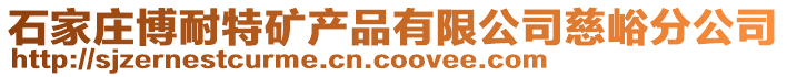 石家莊博耐特礦產(chǎn)品有限公司慈峪分公司