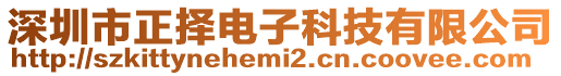 深圳市正擇電子科技有限公司