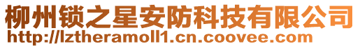 柳州鎖之星安防科技有限公司