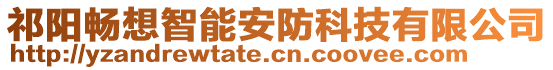 祁陽暢想智能安防科技有限公司