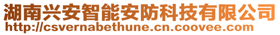 湖南興安智能安防科技有限公司