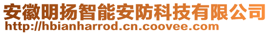 安徽明揚(yáng)智能安防科技有限公司