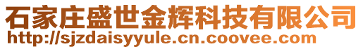 石家莊盛世金輝科技有限公司