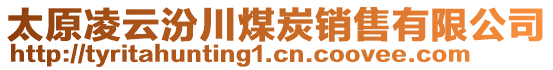 太原凌云汾川煤炭銷售有限公司