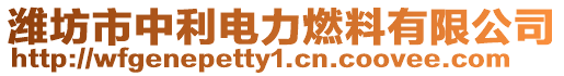 濰坊市中利電力燃料有限公司