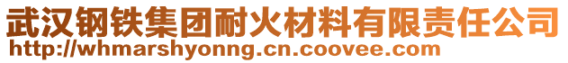 武漢鋼鐵集團耐火材料有限責任公司