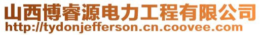 山西博睿源電力工程有限公司