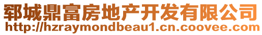 鄆城鼎富房地產(chǎn)開發(fā)有限公司