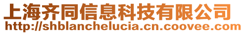 上海齊同信息科技有限公司