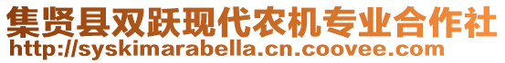 集賢縣雙躍現(xiàn)代農(nóng)機(jī)專業(yè)合作社