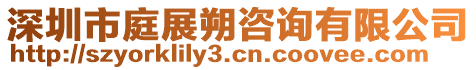 深圳市庭展朔咨詢有限公司