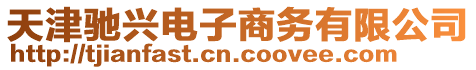 天津馳興電子商務(wù)有限公司