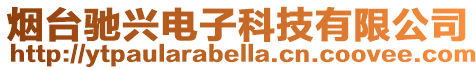 煙臺馳興電子科技有限公司