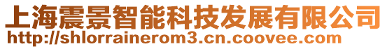 上海震景智能科技發(fā)展有限公司