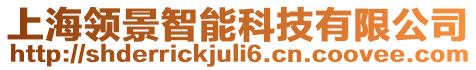 上海領(lǐng)景智能科技有限公司