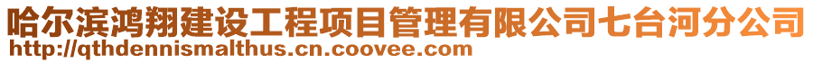 哈爾濱鴻翔建設(shè)工程項(xiàng)目管理有限公司七臺河分公司