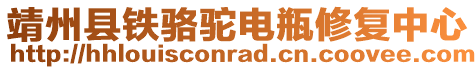 靖州縣鐵駱駝電瓶修復(fù)中心