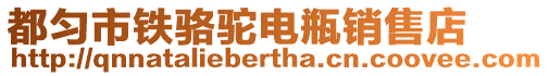 都勻市鐵駱駝電瓶銷售店