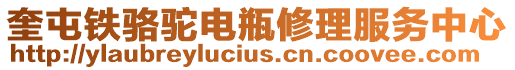 奎屯鐵駱駝電瓶修理服務(wù)中心