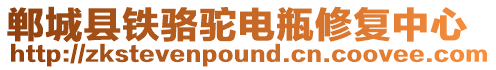 鄲城縣鐵駱駝電瓶修復中心