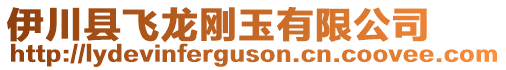 伊川縣飛龍剛玉有限公司