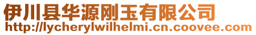 伊川縣華源剛玉有限公司