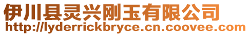 伊川縣靈興剛玉有限公司