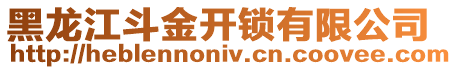 黑龍江斗金開鎖有限公司