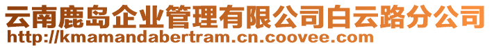 云南鹿島企業(yè)管理有限公司白云路分公司