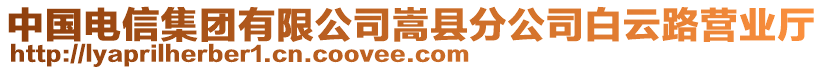 中國電信集團(tuán)有限公司嵩縣分公司白云路營業(yè)廳