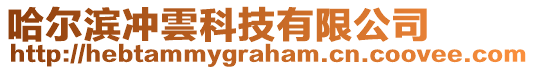 哈爾濱沖雲(yún)科技有限公司