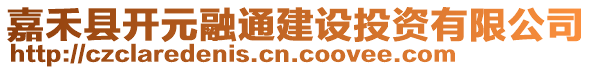 嘉禾縣開元融通建設(shè)投資有限公司