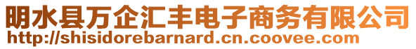 明水縣萬企匯豐電子商務(wù)有限公司