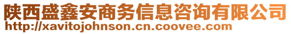 陜西盛鑫安商務(wù)信息咨詢有限公司