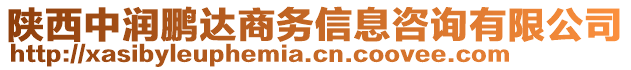 陜西中潤鵬達(dá)商務(wù)信息咨詢有限公司