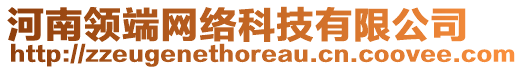 河南領(lǐng)端網(wǎng)絡科技有限公司