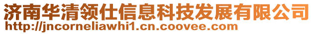 濟(jì)南華清領(lǐng)仕信息科技發(fā)展有限公司