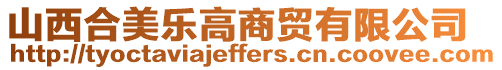 山西合美樂高商貿有限公司