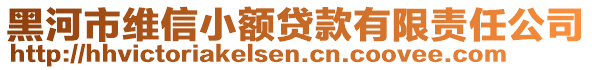 黑河市維信小額貸款有限責(zé)任公司