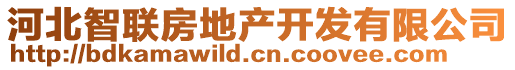 河北智聯(lián)房地產(chǎn)開發(fā)有限公司