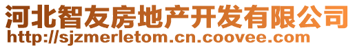 河北智友房地產(chǎn)開發(fā)有限公司