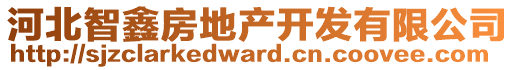 河北智鑫房地產(chǎn)開發(fā)有限公司