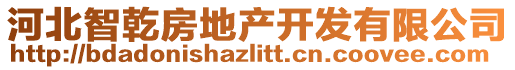 河北智乾房地產(chǎn)開發(fā)有限公司