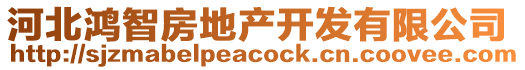 河北鴻智房地產開發有限公司